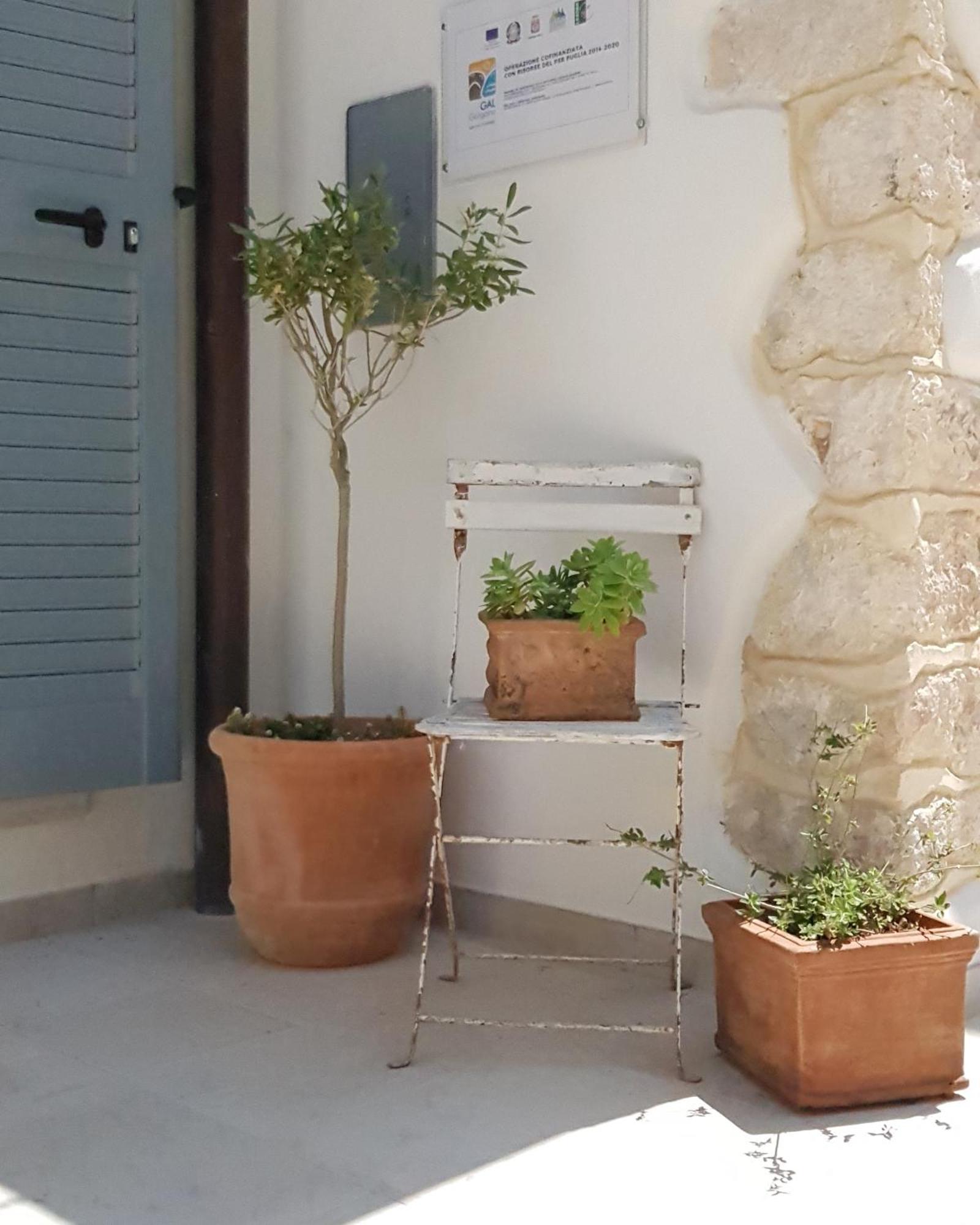 Gargara Bed And Breakfast Vico Del Gargano Εξωτερικό φωτογραφία